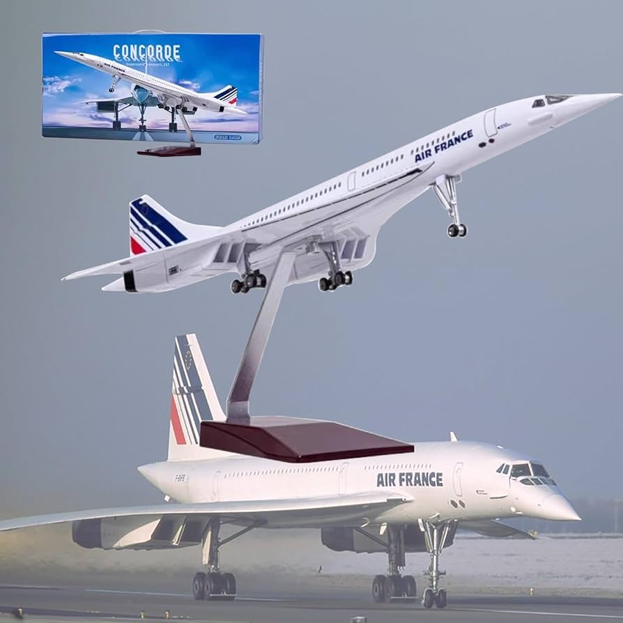 Amazon.co.jp: AZIZAT 19.7 