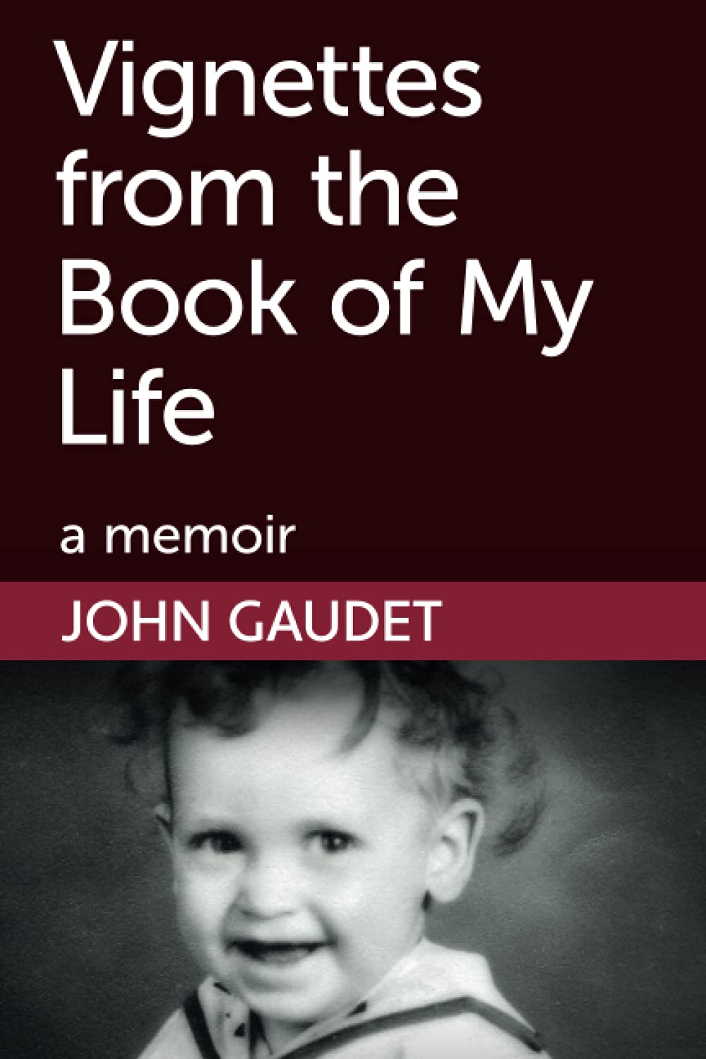 Vignettes from the Book of My Life: a memoir