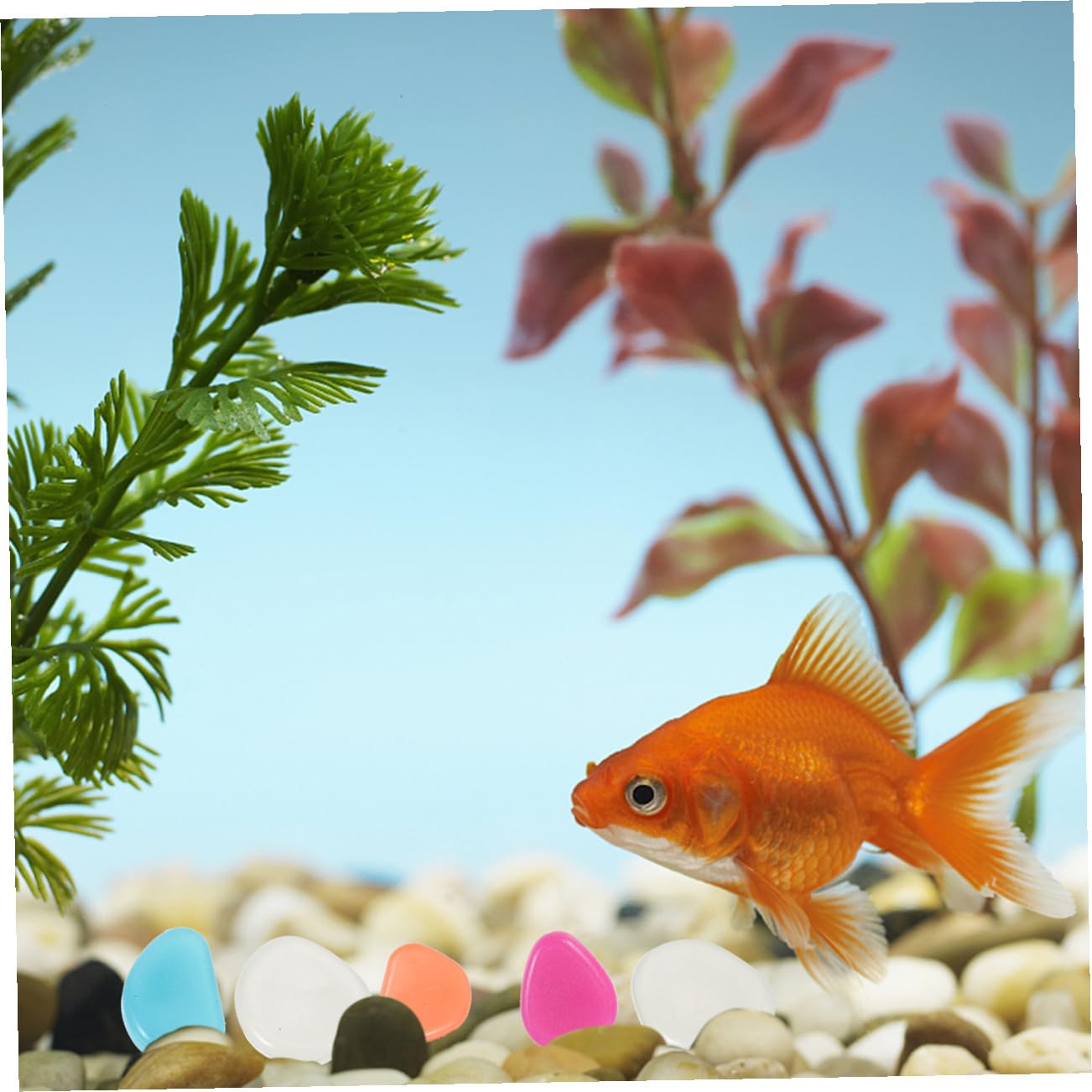 POPETPOP 2 Set Ciottoli Luminosi Acquario Rocce per Pesci Betta Pietre Dell'acquario Sostituibili Delicati Ciottoli D'acquario Accessorio per Acquario Rocce Luminose Resina 200 Pezzi * 2
