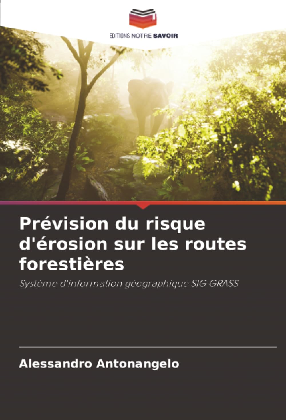 Prévision du risque d'érosion sur les routes forestières: Système d'information géographique SIG GRASS