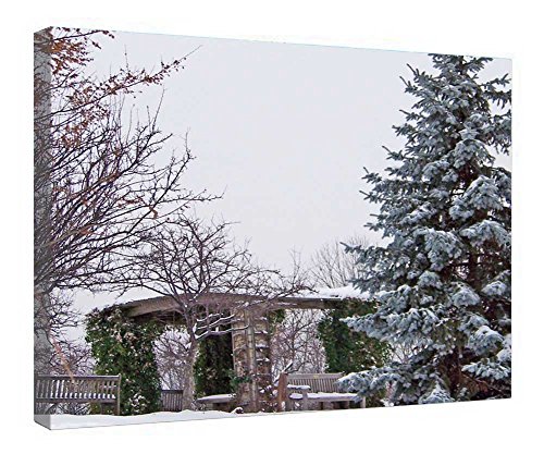 Impression sur toile Evergreen avec cadre 40x50 cm décoration murale salon