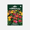 Genta Prestige Dirty Lady Flower Seed