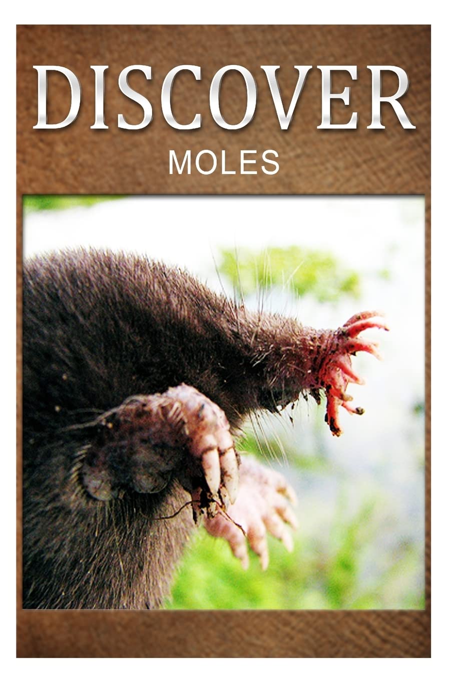 Moles - Discover: Early reader's wildlife photography book