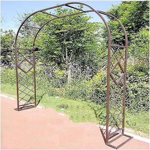Arche pour plantes grimpantes stable contre le vent noir - 2