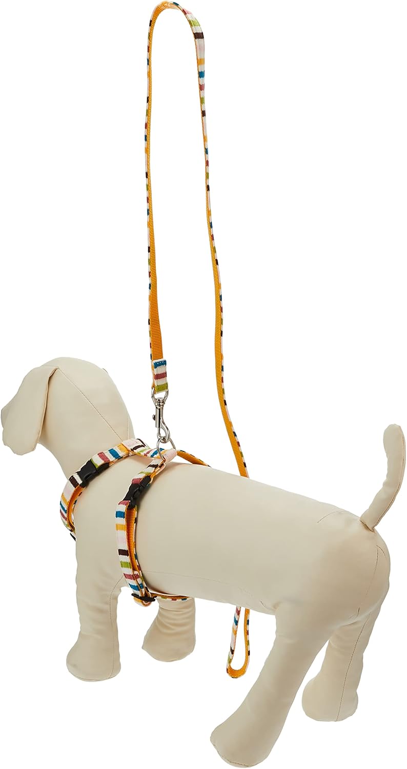 Cuff Cuff BO Border Lead + Harness Multicolor S