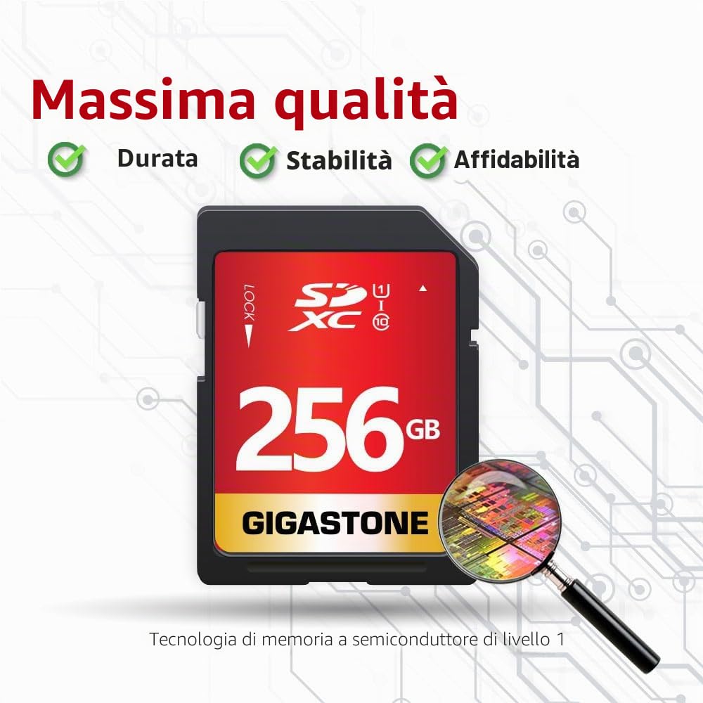 GIGASTONE Scheda SD 256 GB, Set da 2, 2 custodie mini, Scheda di Memoria SDXC, Velocità di Lettura Fino a 80 MB/sec, Classe 10 U1 UHS-I, Specialmente per Fotocamere Telecamera PC
