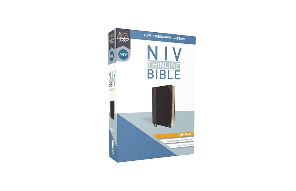 NIV, Thinline Bible, Compact, Leathersoft, Black/Gray, Red