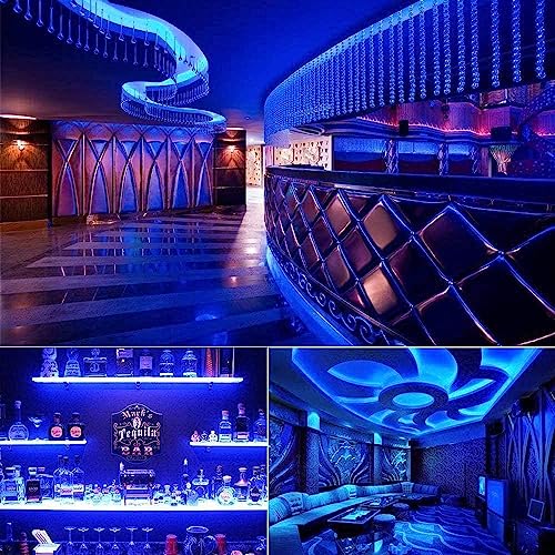 Image of MIHEAL Solar LED Strip Lights Outdoor, 16.4ft 280 LEDs, Solar Powered Blue Light LED Strip with 8 Lighting Modes IP67 Waterproof 2835 SMD Rope Lights for Garden Trees Christmas Party Decor
