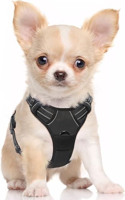 rabbitgoo Dog Harness Small Dog No Pull Pet Harness with 2 Leash Clips, Adjustable Soft Padded Pet Vest Harness, Reflective No-Choke with Easy Control Handle for Training or Walking, Black, S