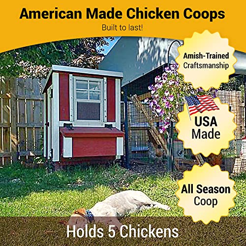 OverEZ-Small-Chicken-Coop-for-up-to-5-Chickens-with-Nesting-Box-Large-Bird-Poultry-and-Hen-House-Made-from-Wood