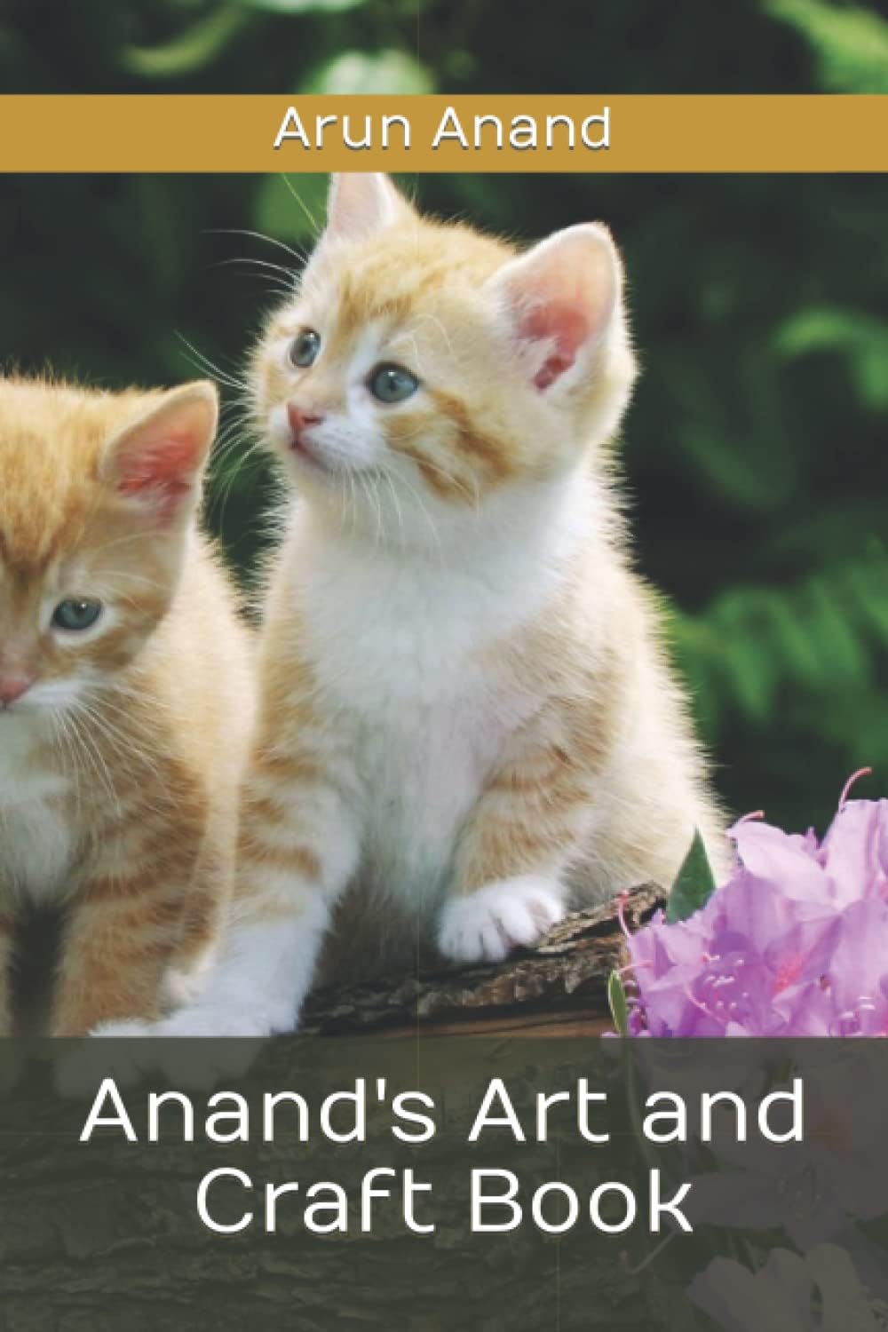 Anand's Art and Craft Book