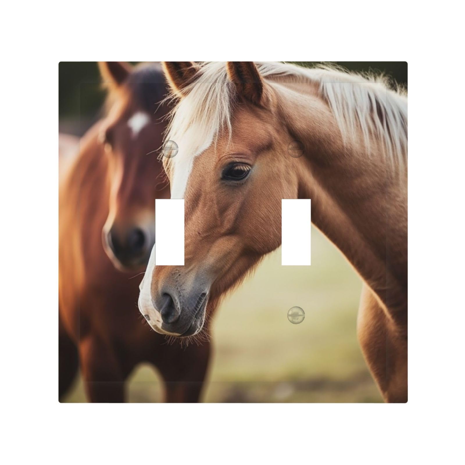 Decorator Double Toggle Light Switch Covers Adorable Horse Wall Plate 2-Gang Mid Size 5" x 4.9" Double Toggle Switch Wallplate Decorative 2 Gang Wall Switch Plate Covers