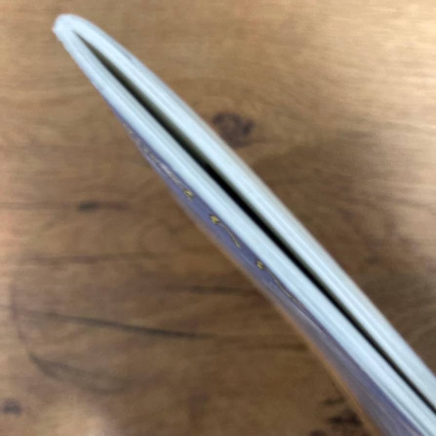 ライアン•マッギンレー　Reach Out,I'm Right Here Reach Out, I'm Right Here」 – Tomio Koyama Gallery 小山登美