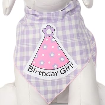 Tail Trends Happy Birthday Dog Bandana Birthday Girl Party Hat Applique Design Fits Medium to Large Sized Dogs - 100% Cotton