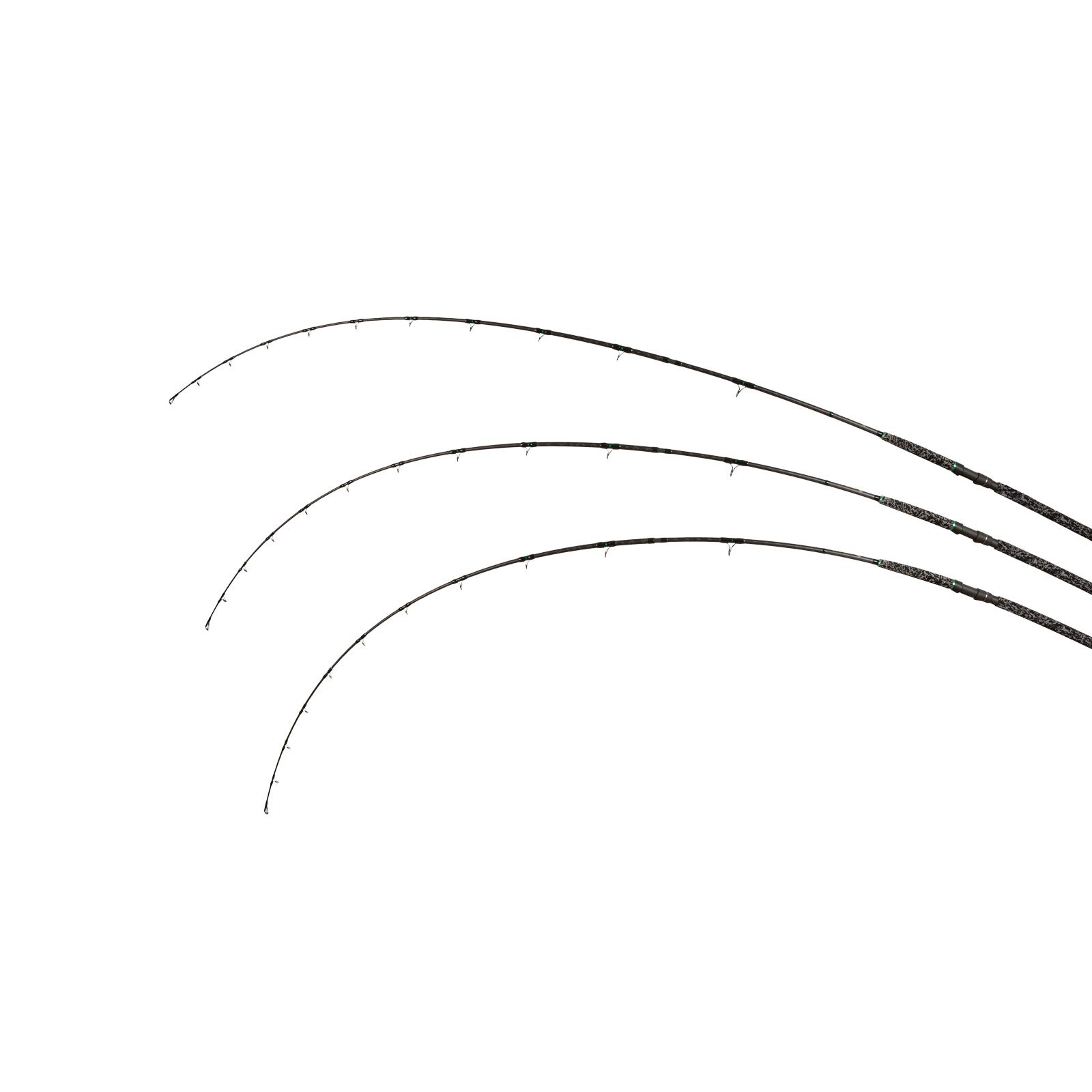 Zeck Pro-Cat Ruten Wallerruten 3,00m 400g