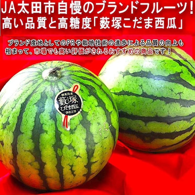 Amazon.co.jp: 『ブランドすいか』 1玉 薮塚(やぶつか)の小玉すいか