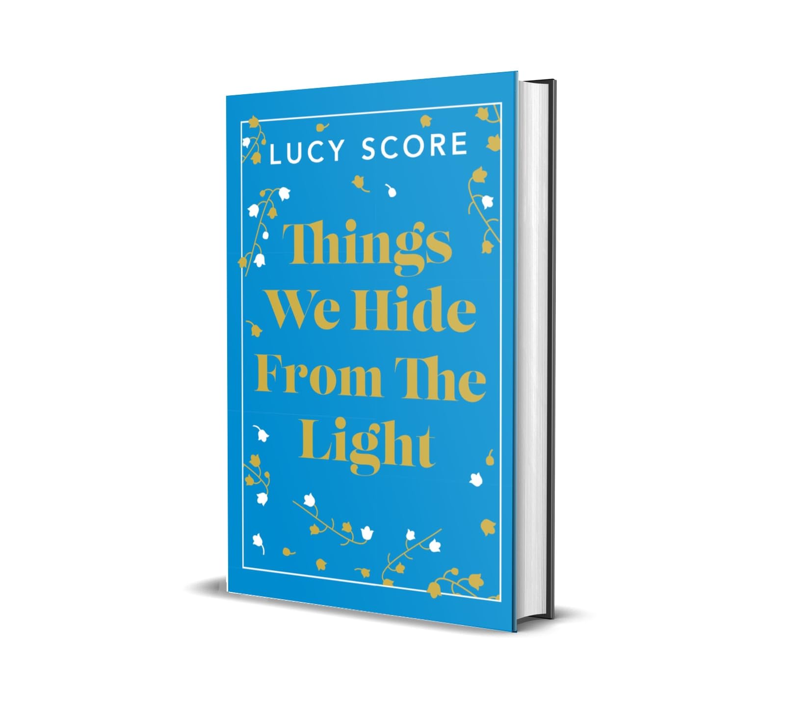 Things We Hide From The Light by Lucy Score - 9781399751063