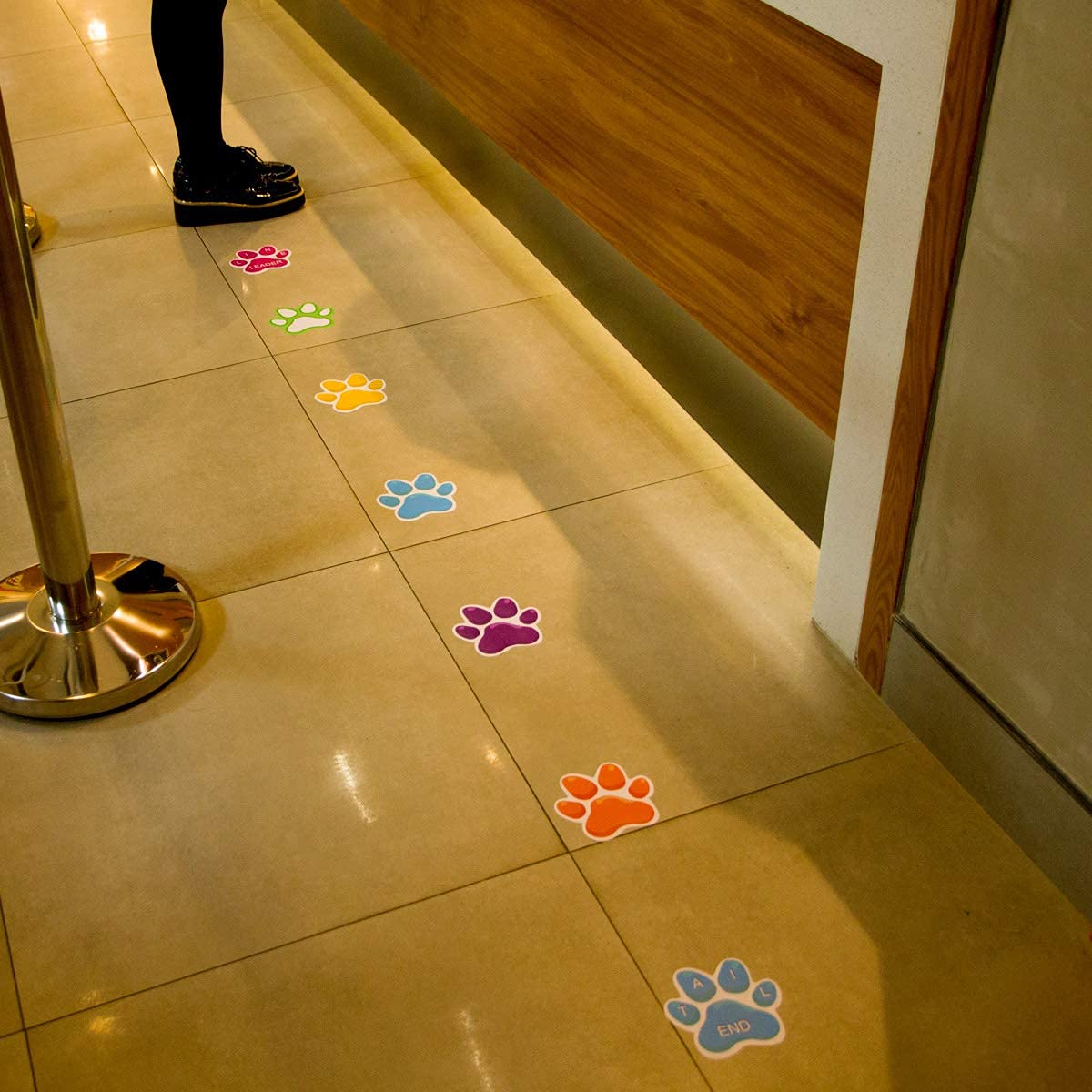 ceiba tree Paw Prints Floor Decals Stickers Classroom Line Up Floor