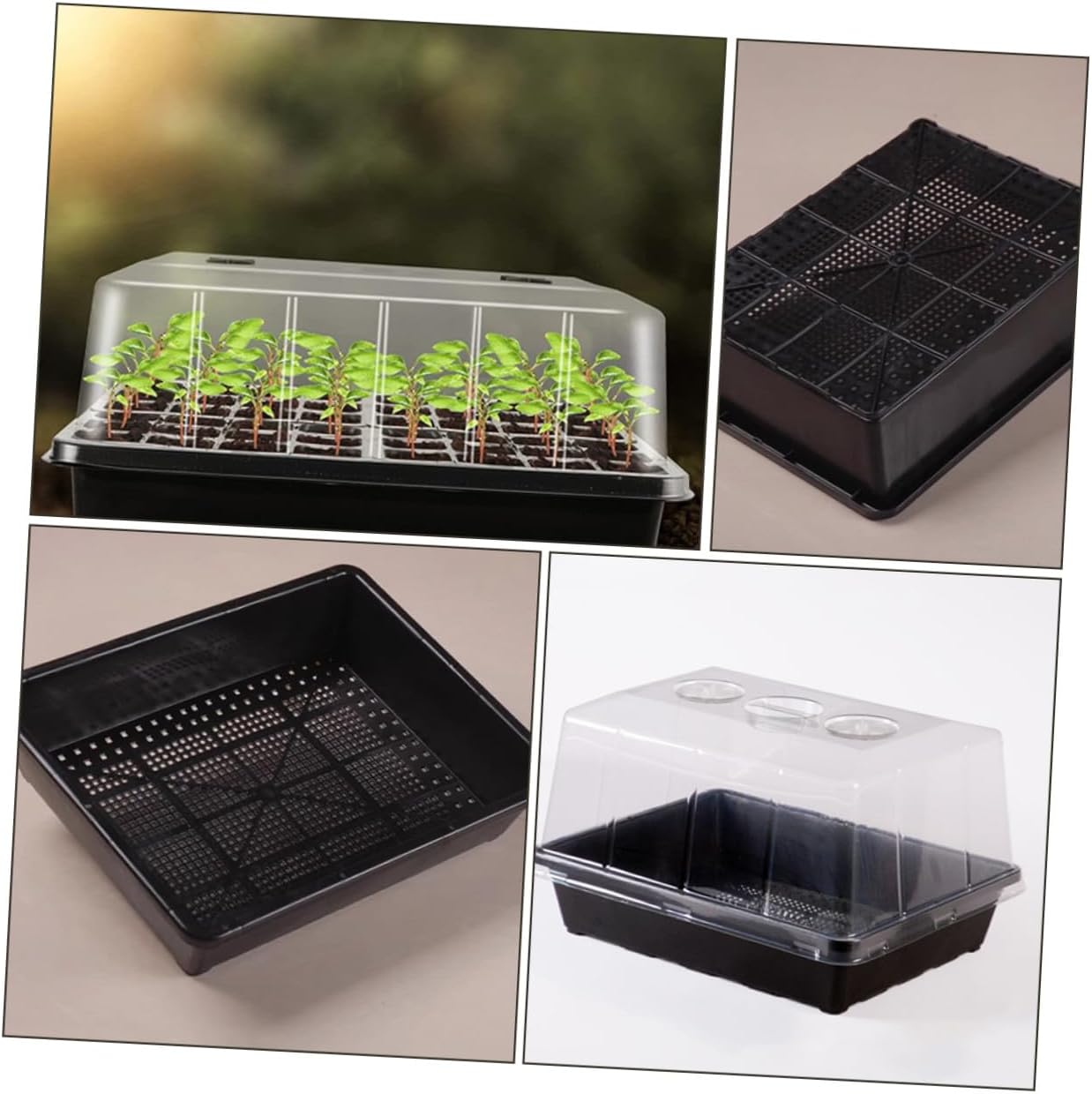 Plant Seedling Tray Nursery Tray Set with Elevated Dome Cover 12-Cell Germination Plate for Succulents Carnivorous Plants and Leaf Cuttings for Indoor Gardening