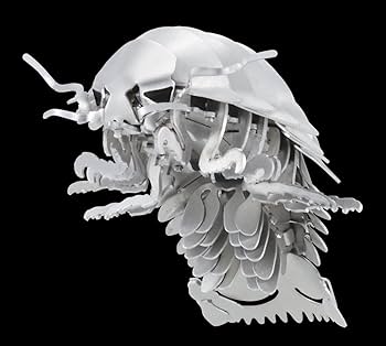 Amazon.co.jp: ダイオウグソクムシ 増補改訂版 (メタルキット