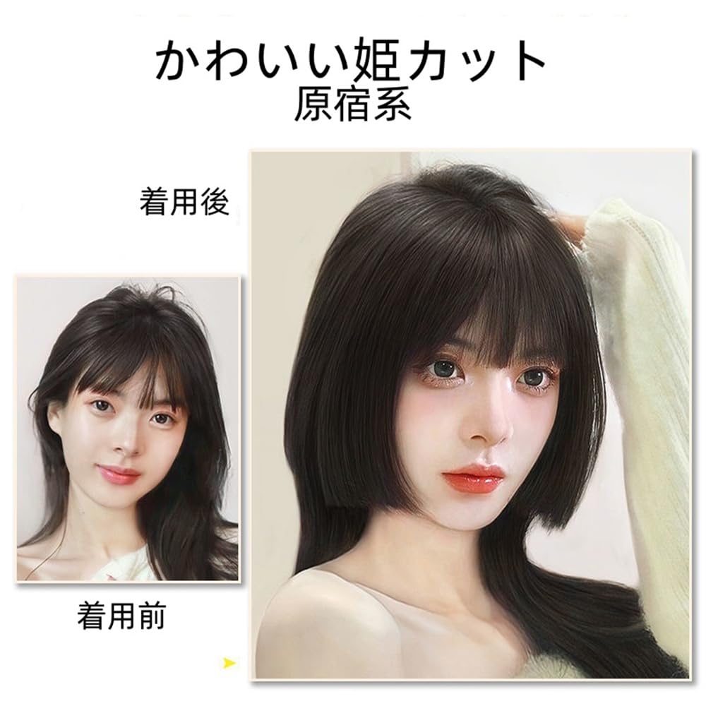 ダークブラウン 前髪ウィッグ 付属品付き 前髪ウィッグ ダークブラウン ライトブラウン ブラック No.911