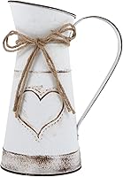 Vista 1 de BESTOYARD Florero francés vintage, jarrón de hierro, jarrón alto galvanizado, pequeño jarrón de estaño, maceta de mesa, maceta rústica con arreglo