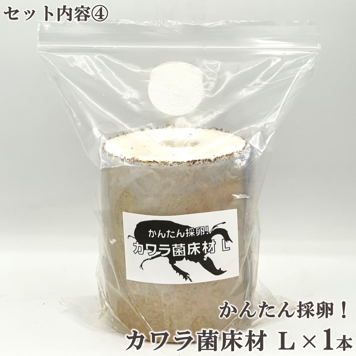 ４本セット！最強のクワガタ産卵木　特大サイズで爆産！植菌カワラ材　加水不用 4本セット！最強のクワガタ産卵木 特大サイズで爆産！植菌カワラ材