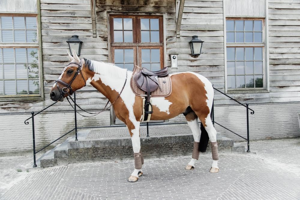 Kentucky - Schabracke Full - Beige - Samt - Springen