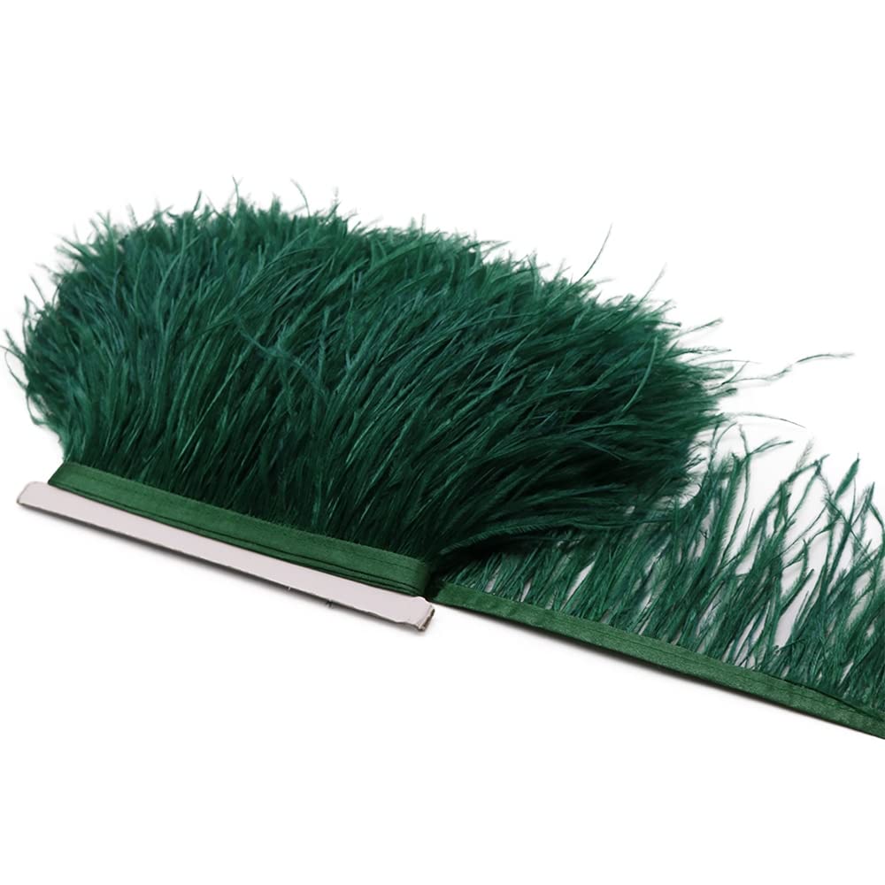 Plume d'autruche ruban 10m pour réparer une jupe ou embellir un costume
