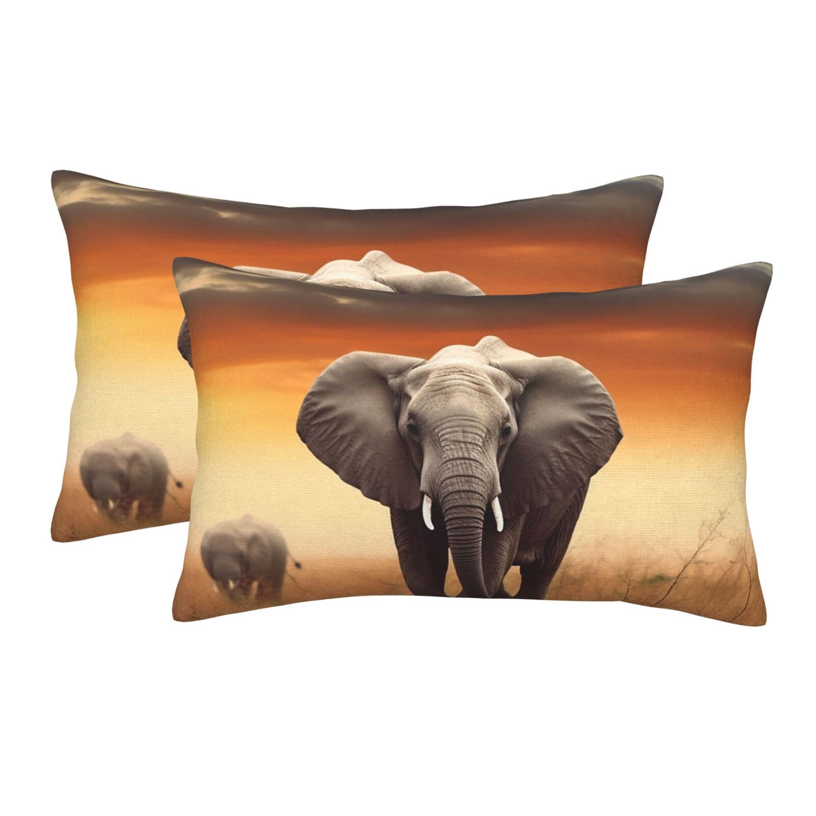 2 Pack Standard Size Pillow Cases for Hair and Skin Soft Breathable Pillow Case Covers with Hidden Zipper Cute Wild Elephant Pillowcase 20"x30" Pillow Cover for Sleeping Gift