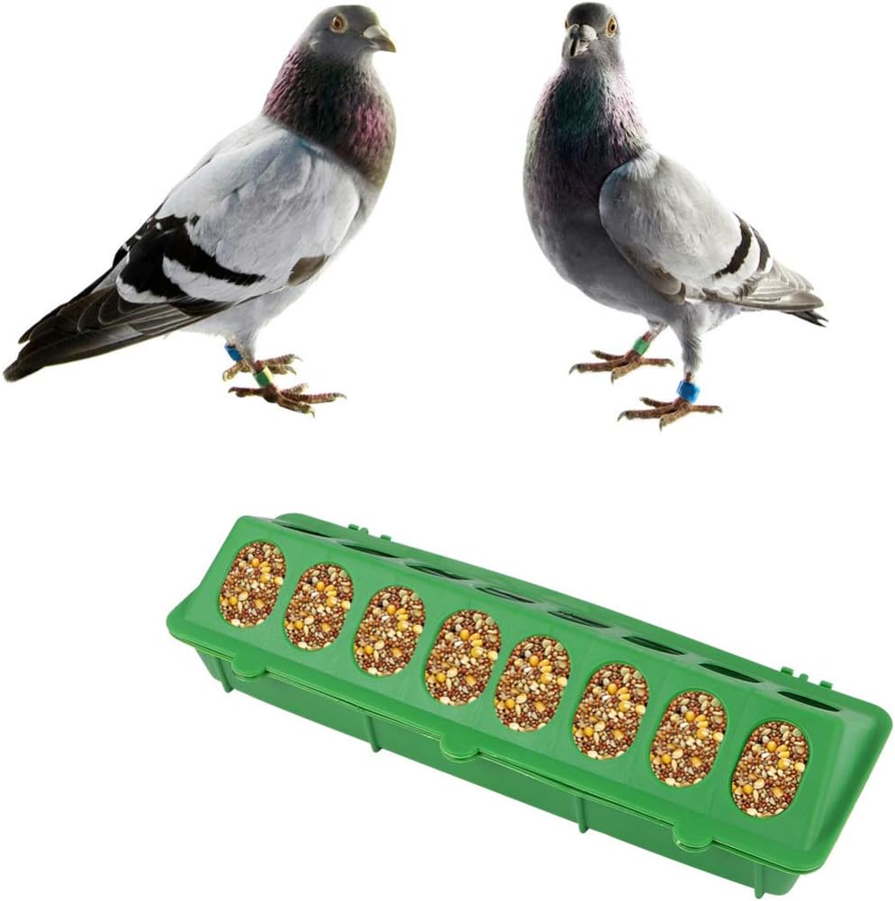 VILLCASE 2PCS Pigeon Feeder - Slot Container Fowl Feeding Dish Pigeon Storage Trough Bird Food Dispenser Pigeon Supplies Parrot Feeder Duck Food Bowl for Home Bird Poultry : Pet Supplies