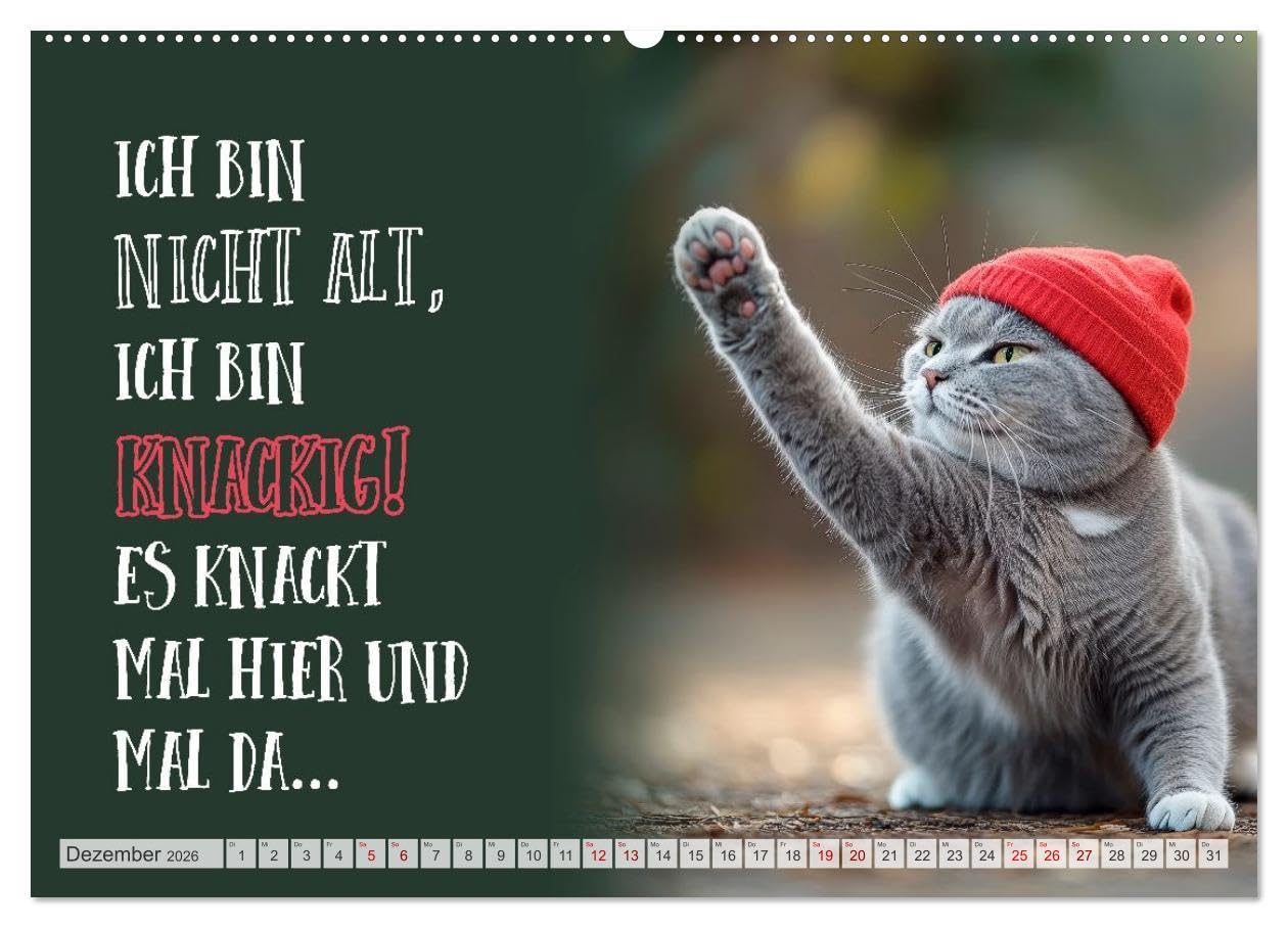 Schnurrige Glückwünsche - Sprüche zum Älterwerden (hochwertiger Premium Wandkalender 2026 DIN A2 quer), Kunstdruck in Hochglanz: Lächle, solange du noch Zähne hast (CALVENDO Spass)