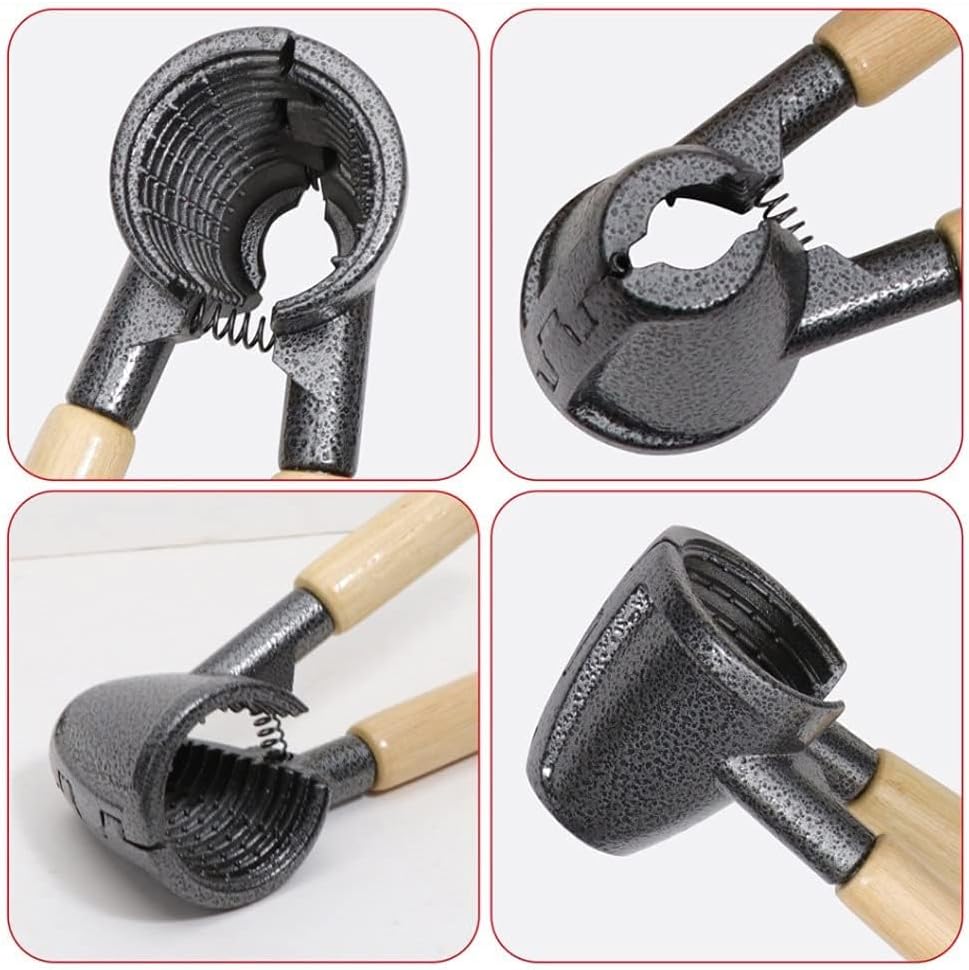 Generic RK_ENTERPRISES Nutcracker & Champagne Opener | Multifunctional Funnel Shaped Aluminum Tail Nutcracker | Wooden Holder Design Kitchen