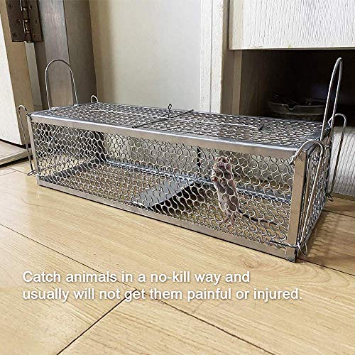 Double Door Live Humane Cage Mouse Trap Rat Catch Control Bait Hunting Survival For Mice Hamsters Chipmunks Rodents Gopher Control （15.7"X4.3"X7.5"） #TOP3