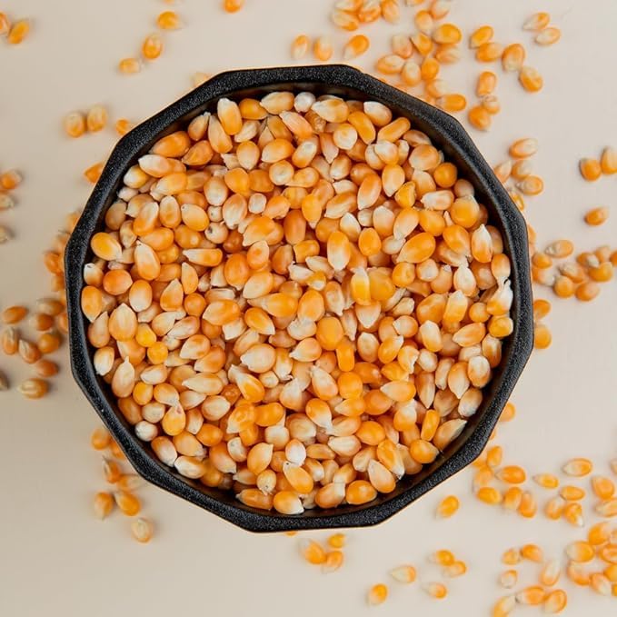 Popcorn Kernels Seeds | Special For Diwali Festival Celebration | Festival Gift Hamper | Deepawali Gift Pack For Family, Friends/Pack of 400 Grams-image-29