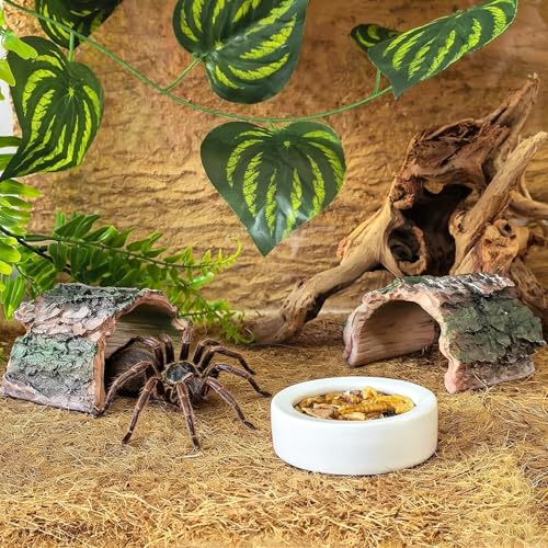 Image of 2 Pack Small Betta Log Resin Hollow Tree Trunk Ornament, Aquarium Hideout Reptile Cave Tarantula Hide Terrarium Tank Decor for Fish Shrimp or Small Reptile Scorpion Spider Hermit Crab