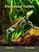 Freshwater Turtles of Australia