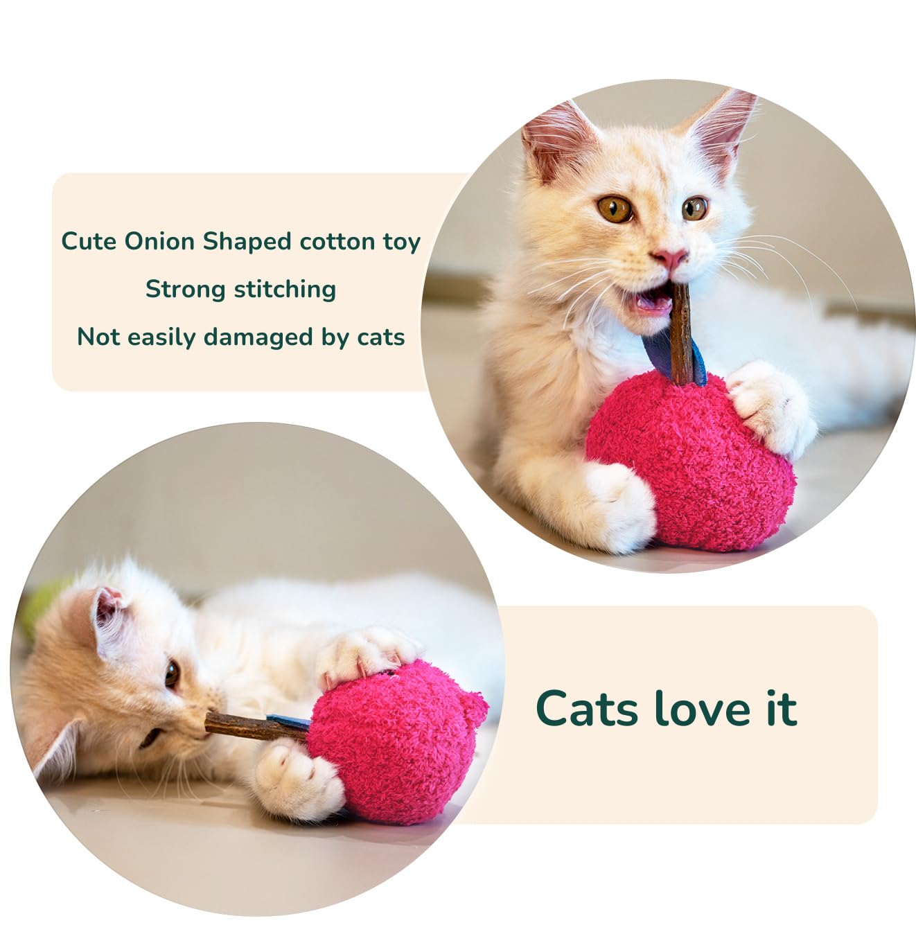 Petelligent Durable and Interactive Catnip Toys Teething Silvervine Stick Cat Toys: Chewing Stick, Grinding Teeth Rod - Image 4