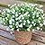BCBLF Artificial Flowers for Outdoors, 12 Bundles UV Resistant Realistic Faux Plants for Outside Porch Planter, Spring Summer Home Garden Decoration, White