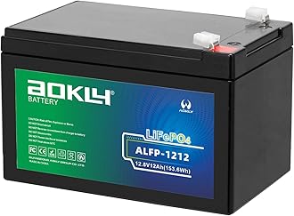 12V 12Ah Power Wheel Battery Replacement, Deep Cycle LiFePO4 5000+ Cycles Lithium Iron Phosphate Kids Ride on Toys Battery