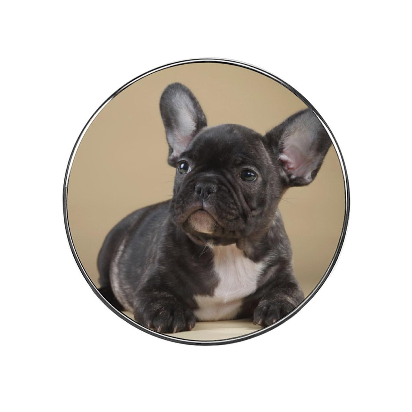 Black Bulldog Alloy Fridge Magnet For Office Cabinet Refrigerator Whiteboard Photo
