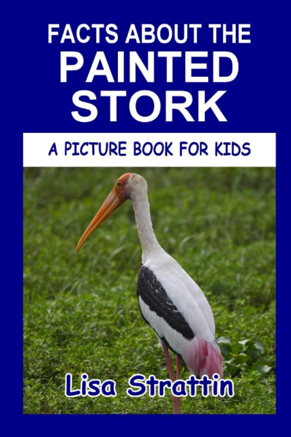 Facts About the Painted Stork