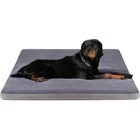 joicyco dog bed