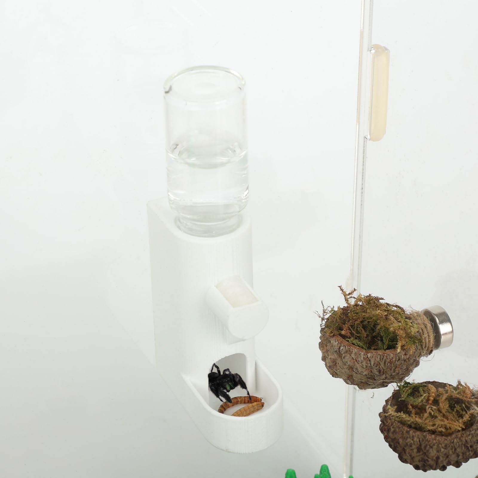 Daerky Small Animal Water Feeder, Magnetic Hanging Feeder & Hidden Cave - Accessories for Jumping Spiders, Wolf Spiders, Mantises, Arboreal Animals & Other Small Creatures - 5ML Capacity (White)