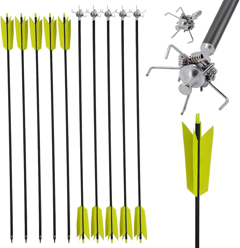 Archery Carbon Arrow Target Practice Arrows Screw Hunting Tip with Replacement Arrowheads for Recurve Bow and Compound Bow Spine 500