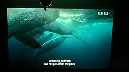 Review Image by Mateo Sanabria