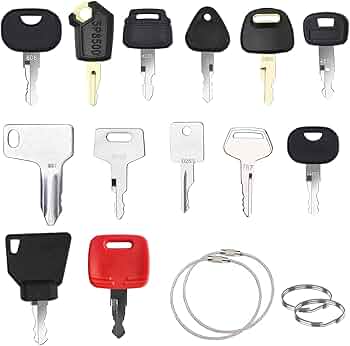 ZUZGO Baumaschinen Schlüssel Set - 12 Universal Zündschlüssel