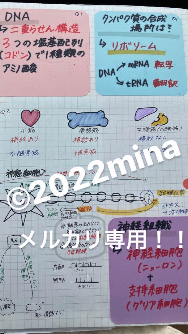 国試対策ノート 30枚 1800円 国試対策ノート 30枚 1800円 診療放射線技師国家試験 対策ノート