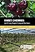 Sweet Cherries (Crop Production Science in Horticulture)