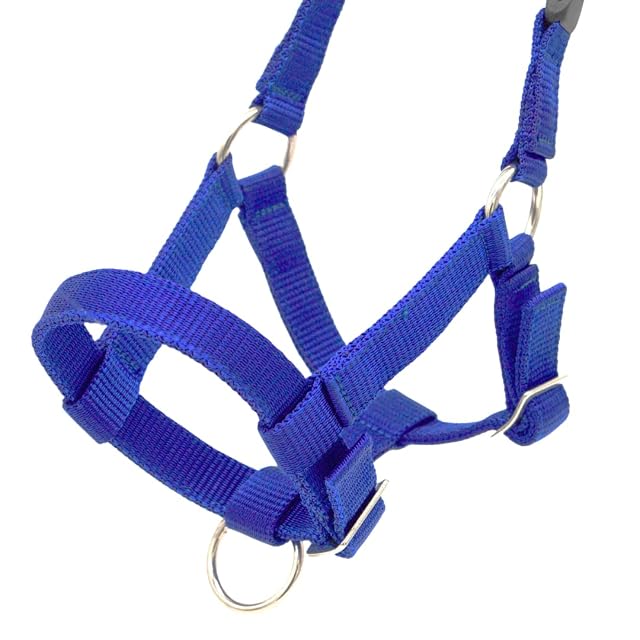 Foto 3 de 8 de PFIFF 103101 Pako - Cabestro Ajustable para Alpacas, con Cierre de Clip, Color Azul Oscuro